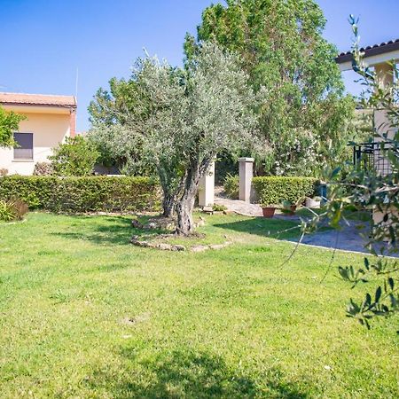 Bed and Breakfast Il Giardino Degli Ulivi Santa María Exterior foto